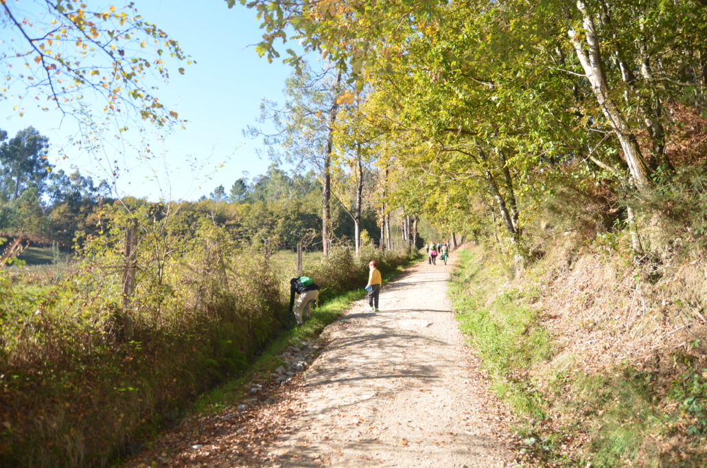 LIBERA: Objetivo liberar a la naturaleza- Limpiando el Camino