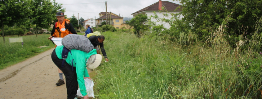 Día mundial del Medio Ambiente siendo Ecoperegrino - peregrinos participando recogiendo basura